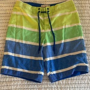 green and blue striped hollister swim trunks